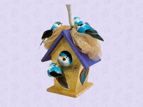 #0 Birdy Test