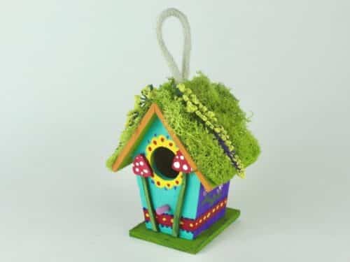 #4 Birdy Shack